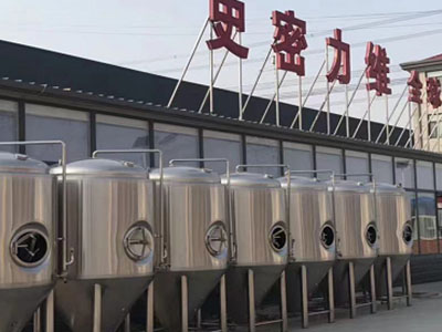 芦溪精酿啤酒设备厂—如何判断精酿啤酒设备的密封件需要更换？